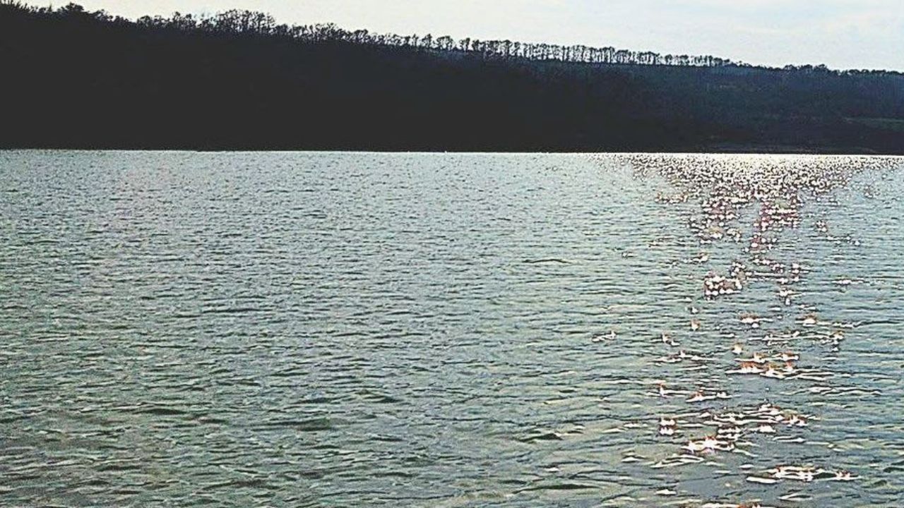 язовирите се пълнят