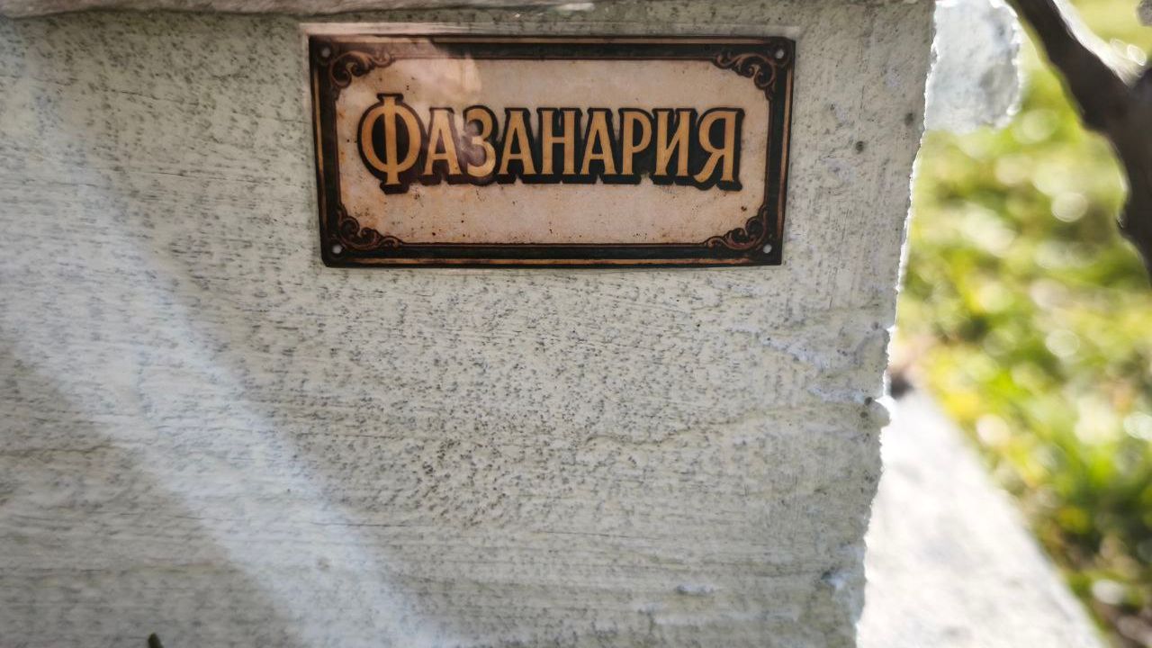 сокол-блрс изложението