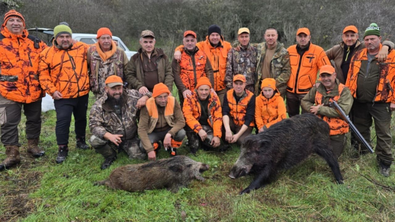 Дервентските възвишения