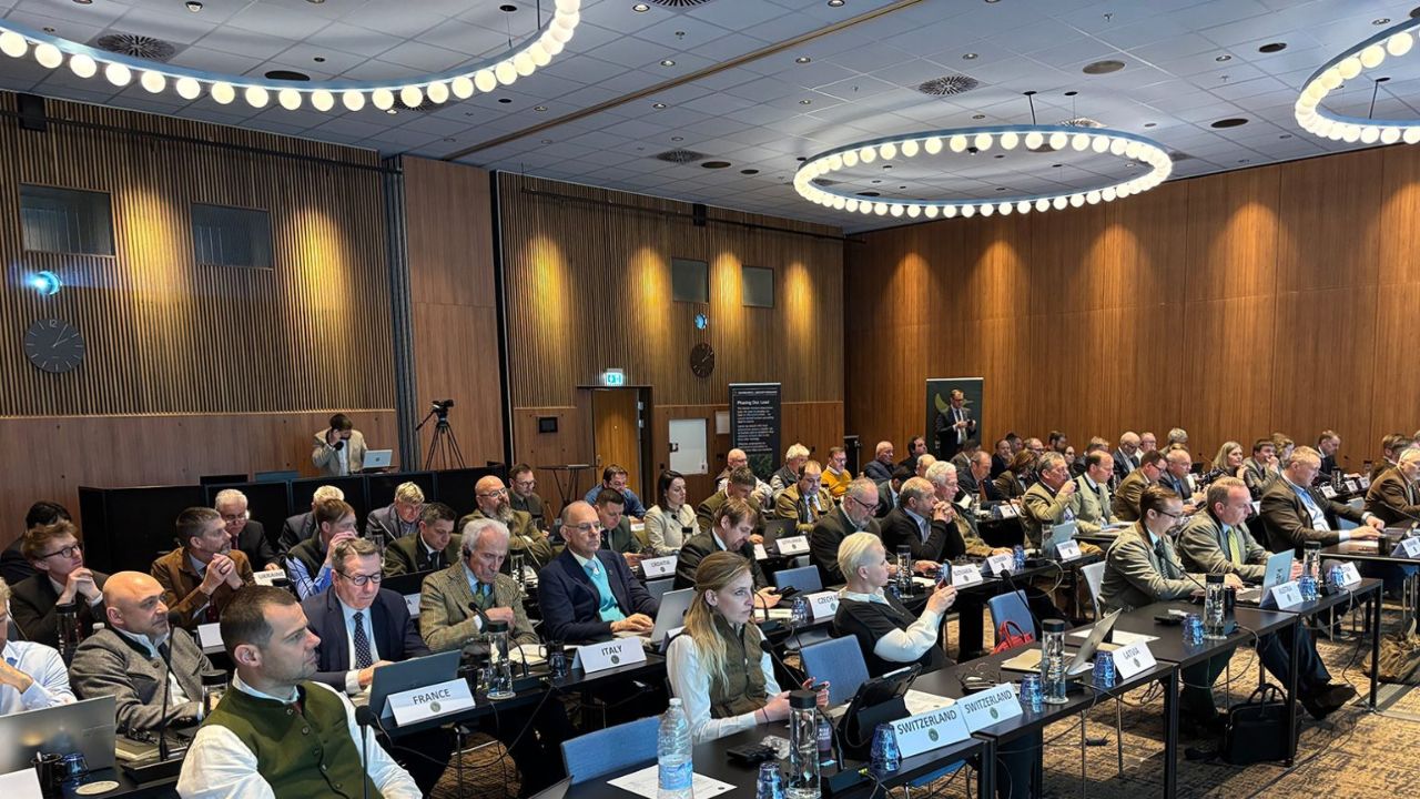 копенхаген координацията