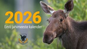 С децата сред природата