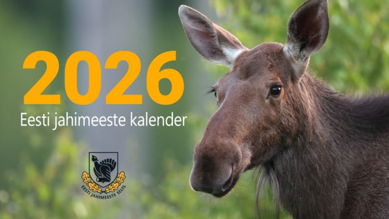 С децата сред природата