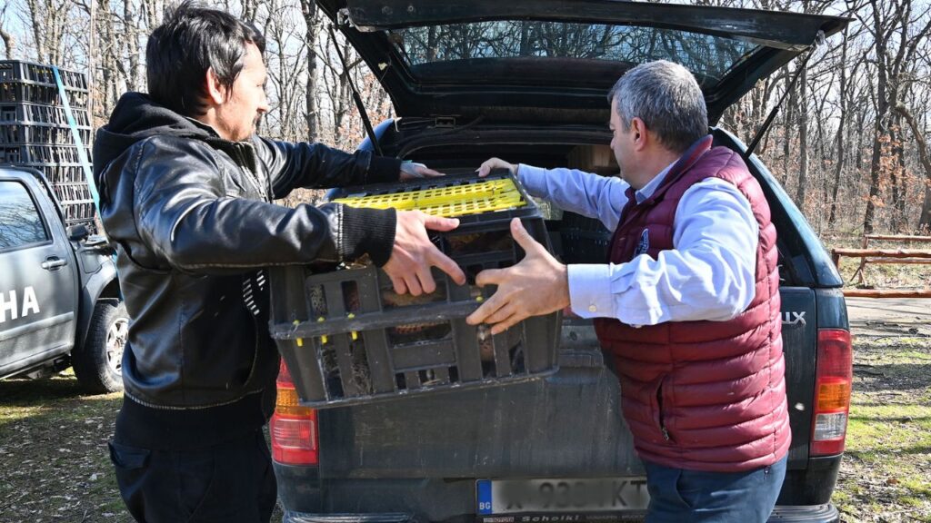 хасково разселване