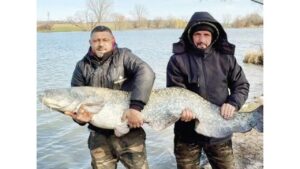 актуално 4 март