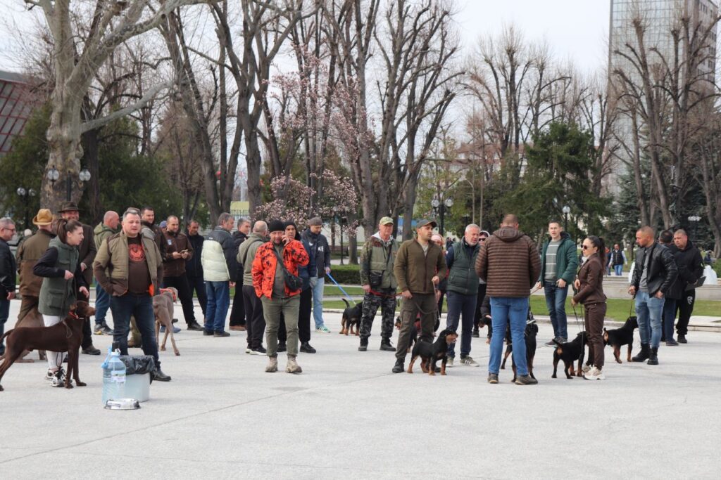 кучета парад