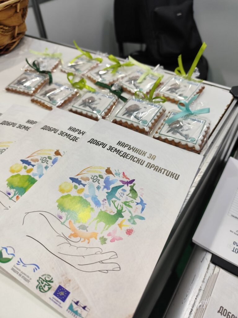 живот за сокола