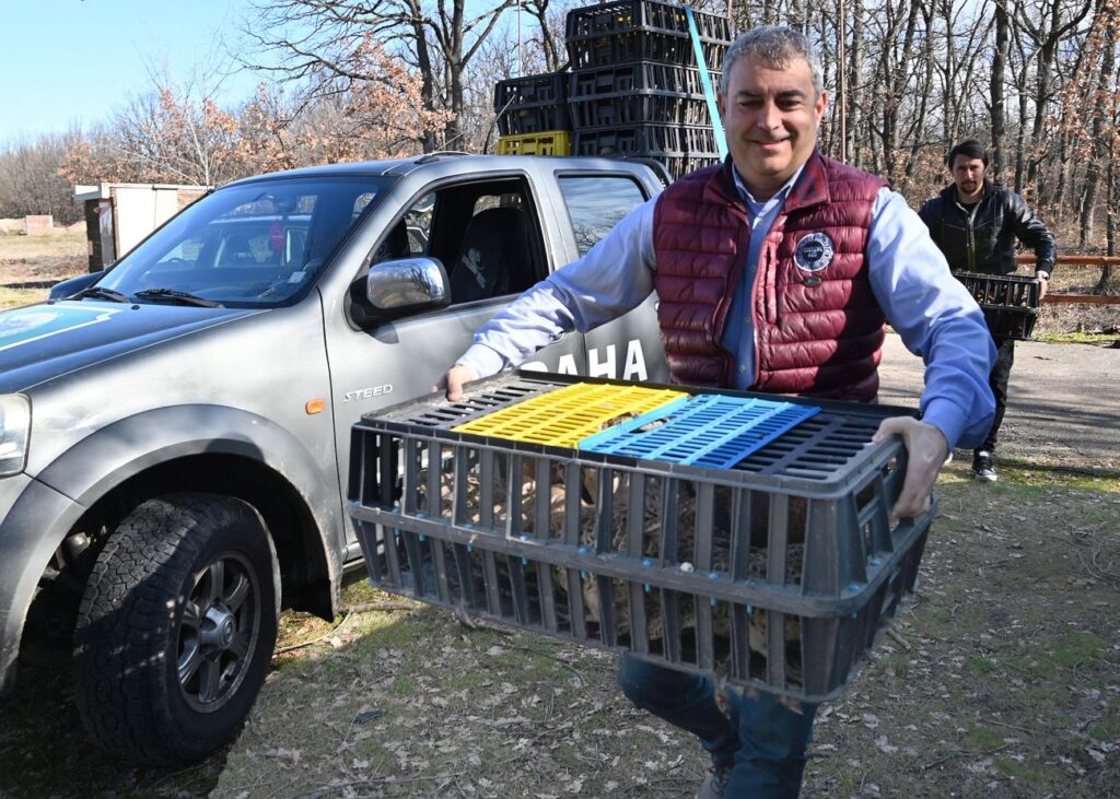 хасково разселване