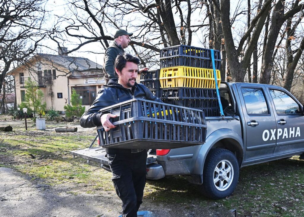 хасково разселване