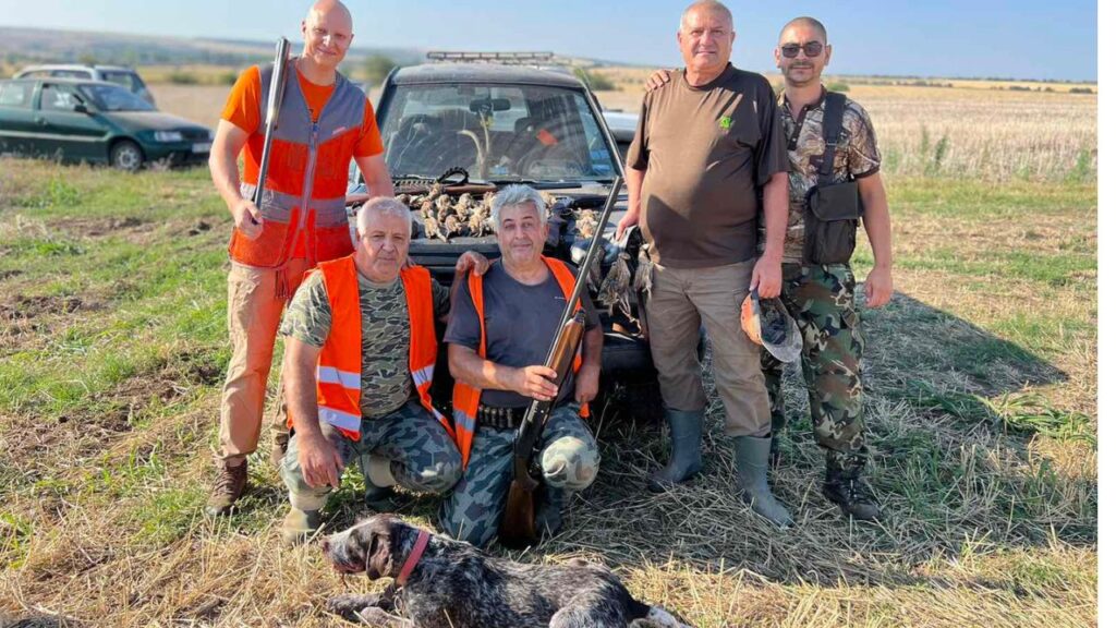 свищов таксация