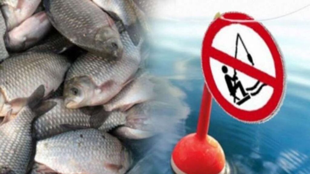 риболов забрана