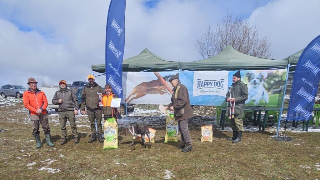 турнир понор