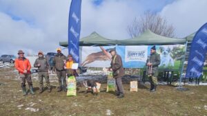 турнир понор