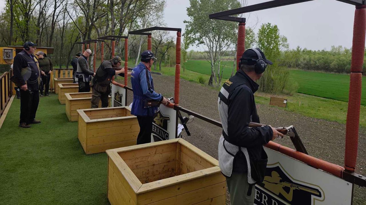 унгария спортинг