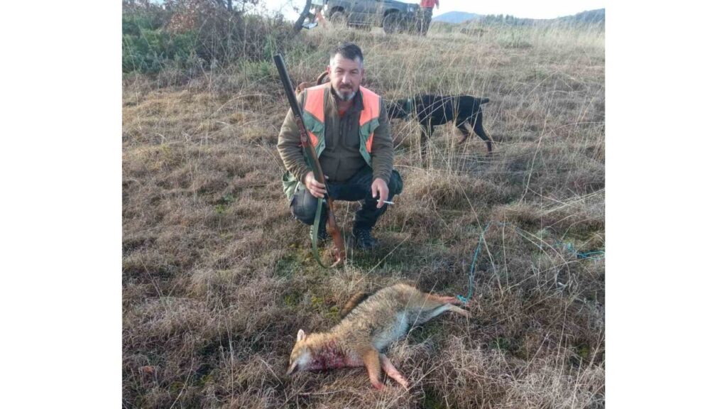 гоце делчев чакалите