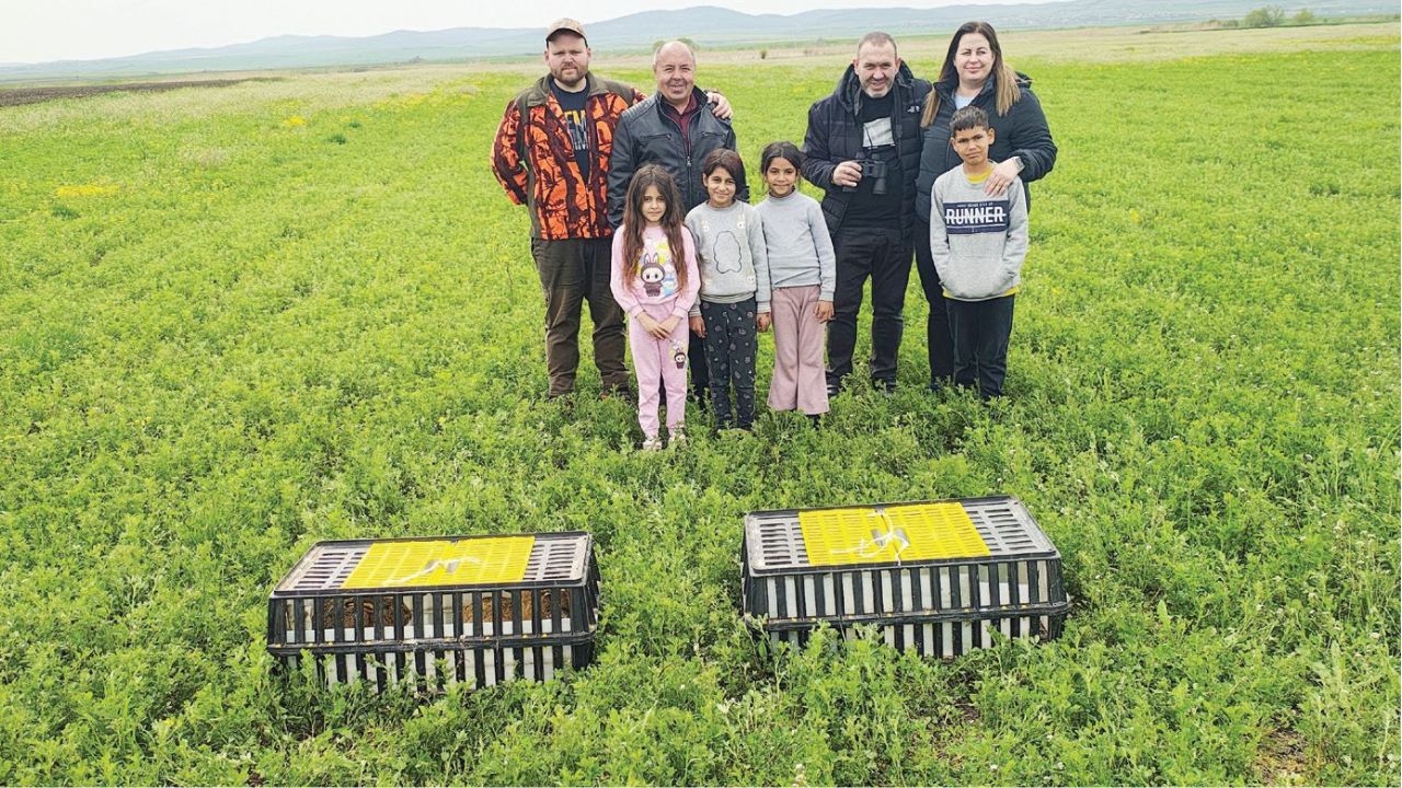 нова загора зайци