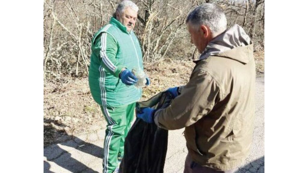 елхово почистване