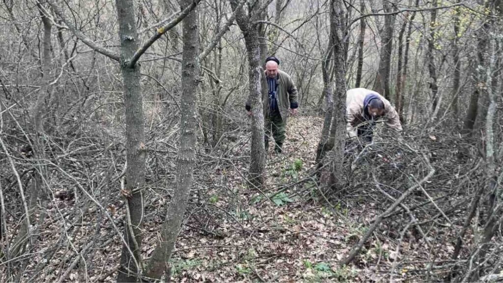 хасково таксация