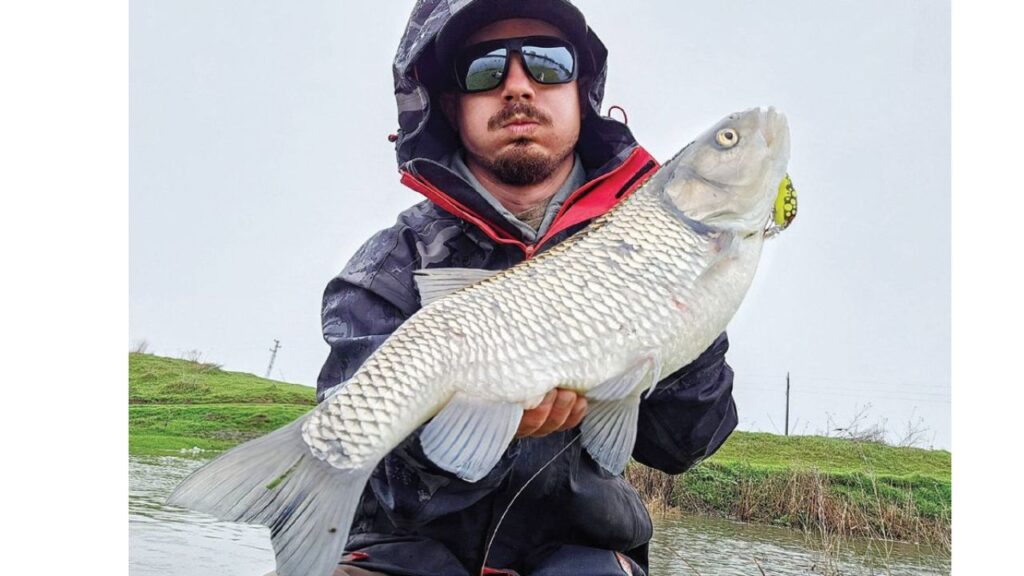 тунджа кефали