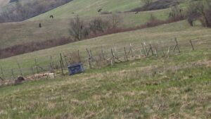 остатъчни продукти