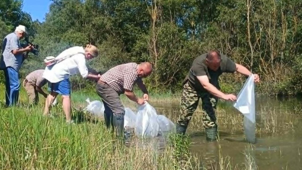 зарибяване тича