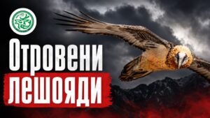 нлрс-слрб лешоядите