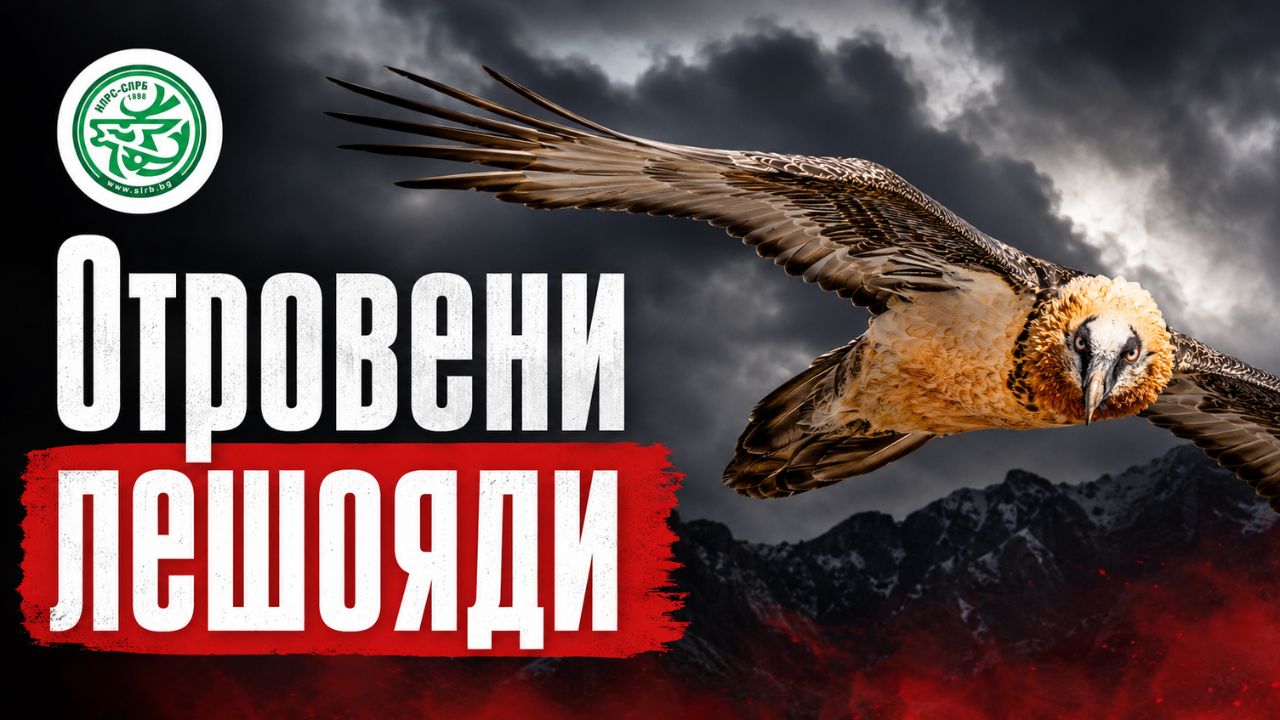 нлрс-слрб лешоядите