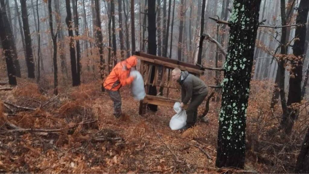смолянско сърна