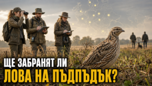 padpadak