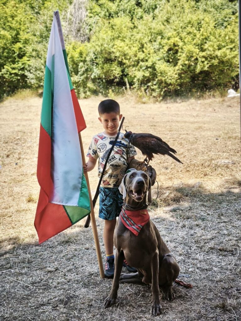 старата пушка