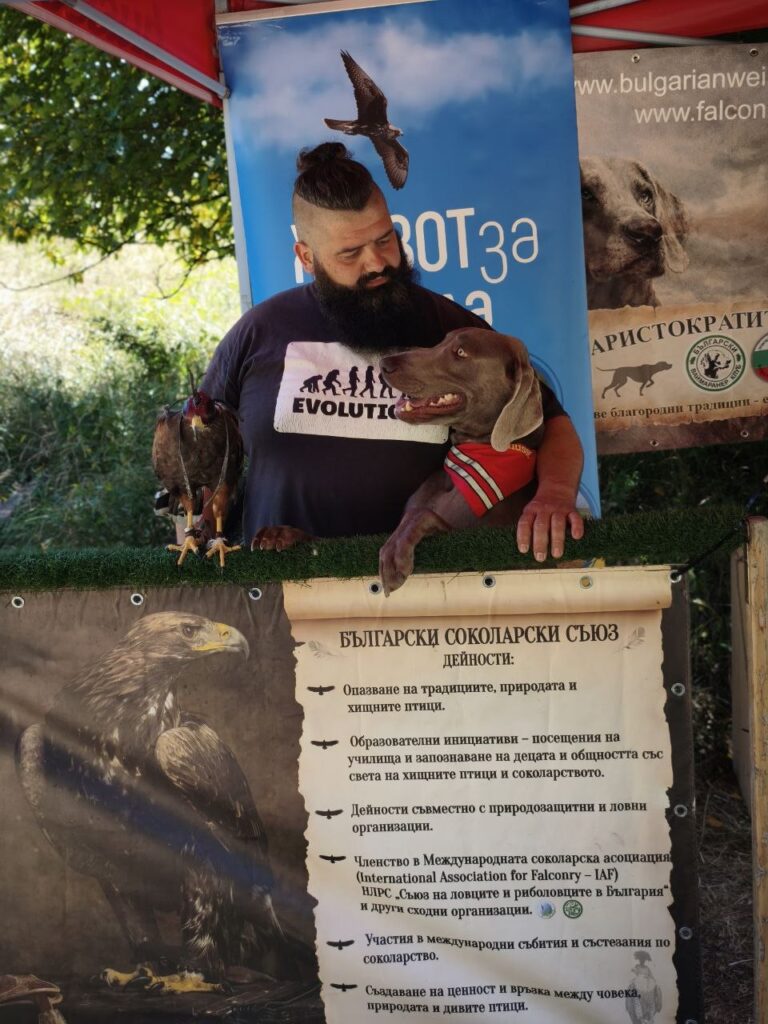 старата пушка