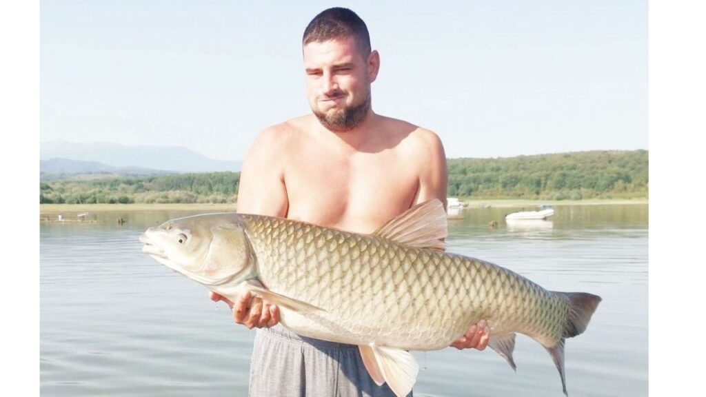 амури голямата игра