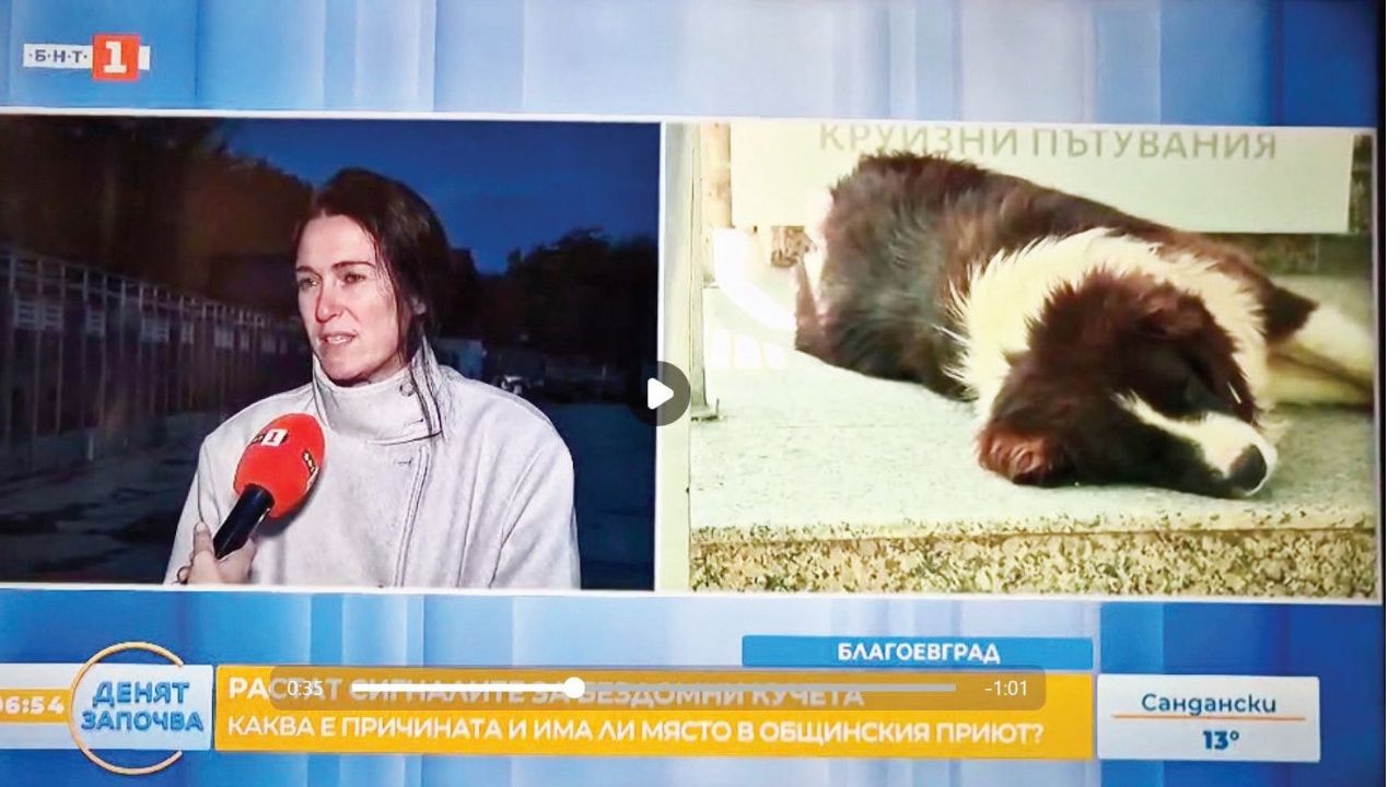 телевизионен репортаж