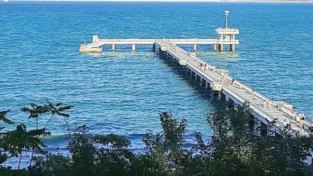 видове черно море